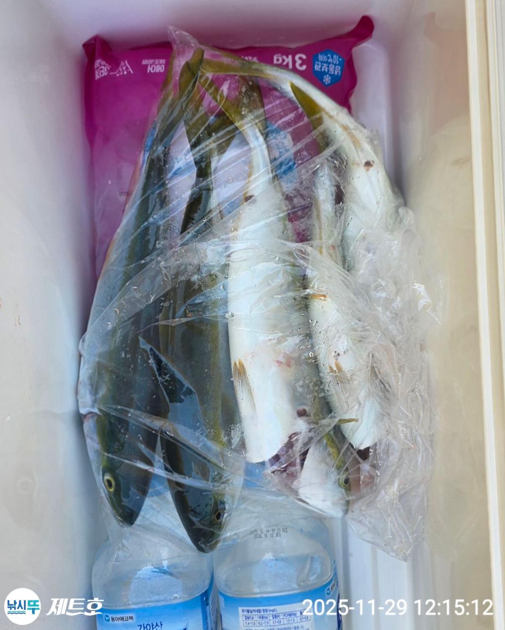 낚시뚜,방어,삼치,영일만항,포항 제트호,낚시뚜6