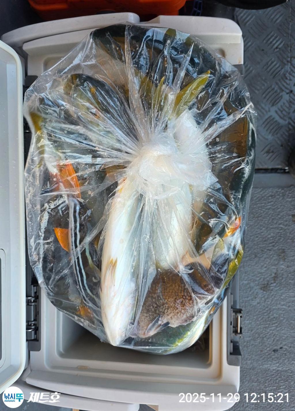 낚시뚜,방어,삼치,영일만항,포항 제트호,낚시뚜3