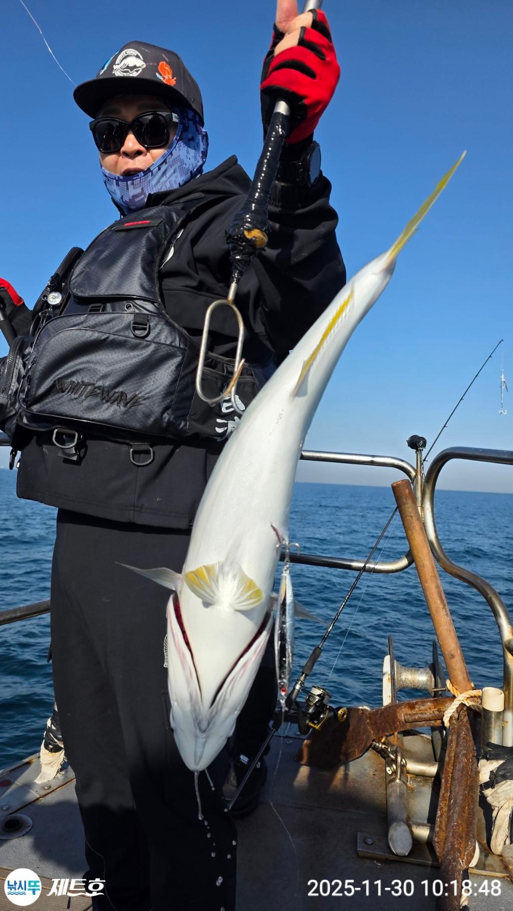낚시뚜,방어,삼치,영일만항,포항 제트호,낚시뚜17