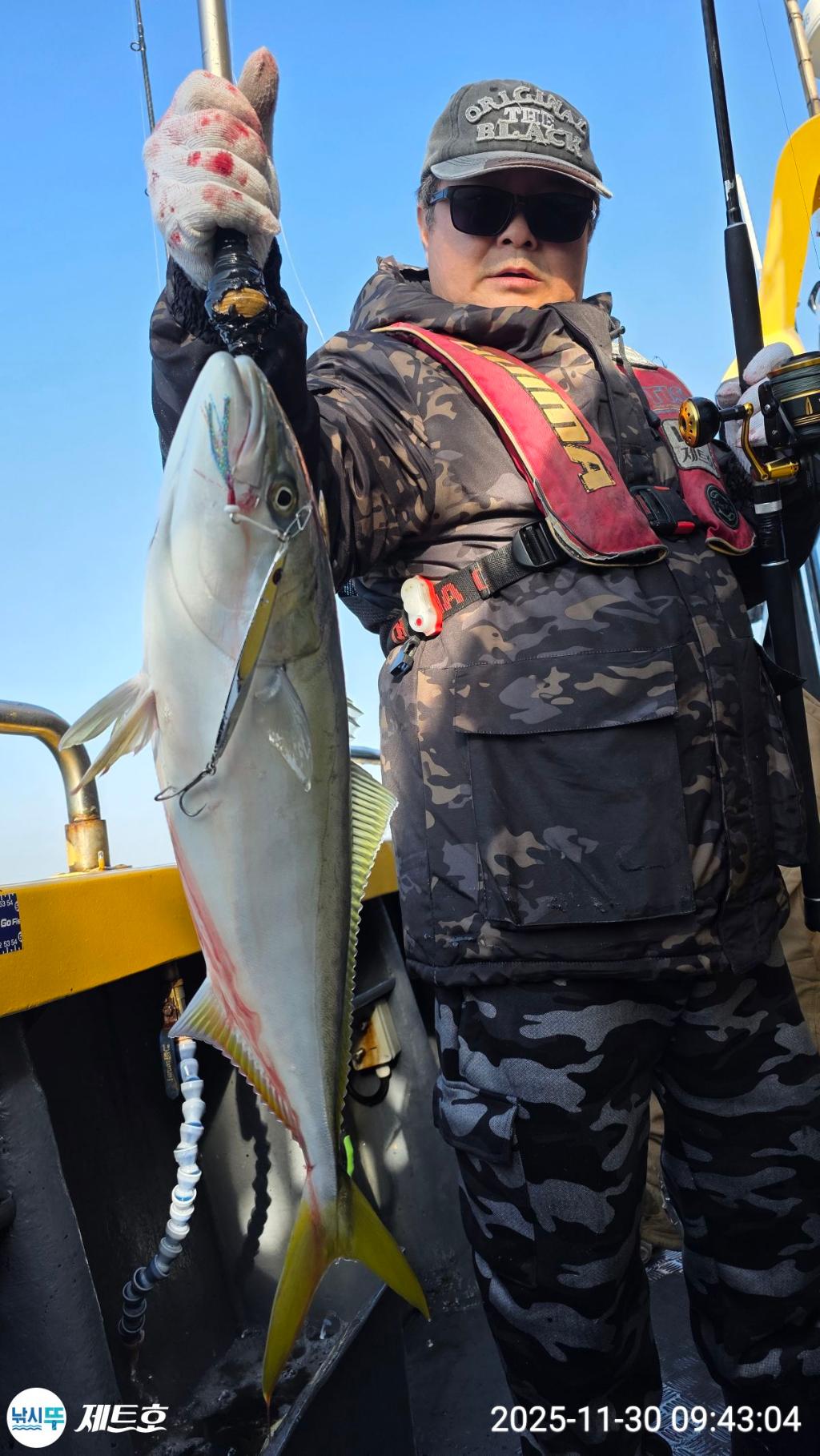 낚시뚜,방어,삼치,영일만항,포항 제트호,낚시뚜7