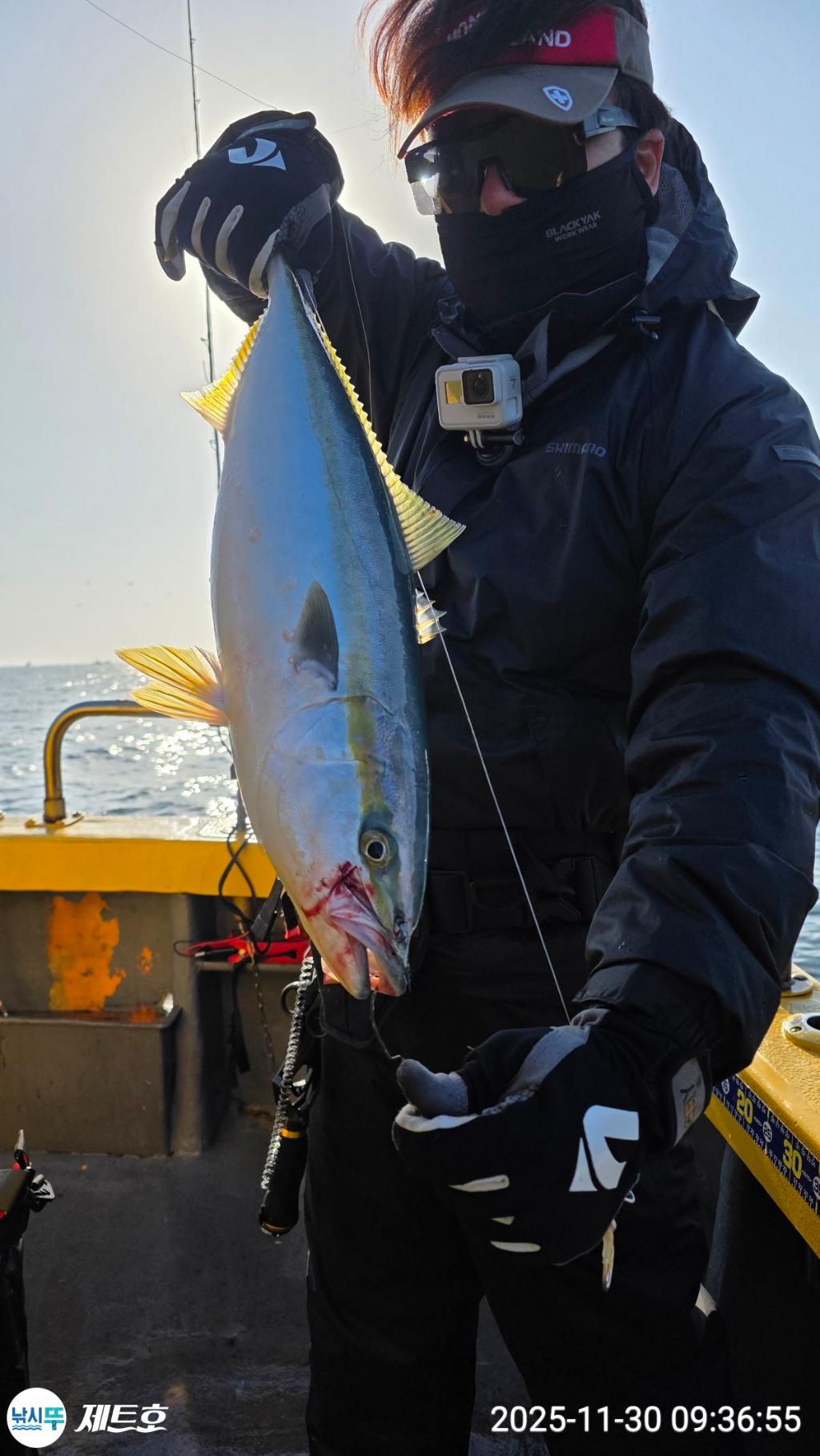 낚시뚜,방어,삼치,영일만항,포항 제트호,낚시뚜3