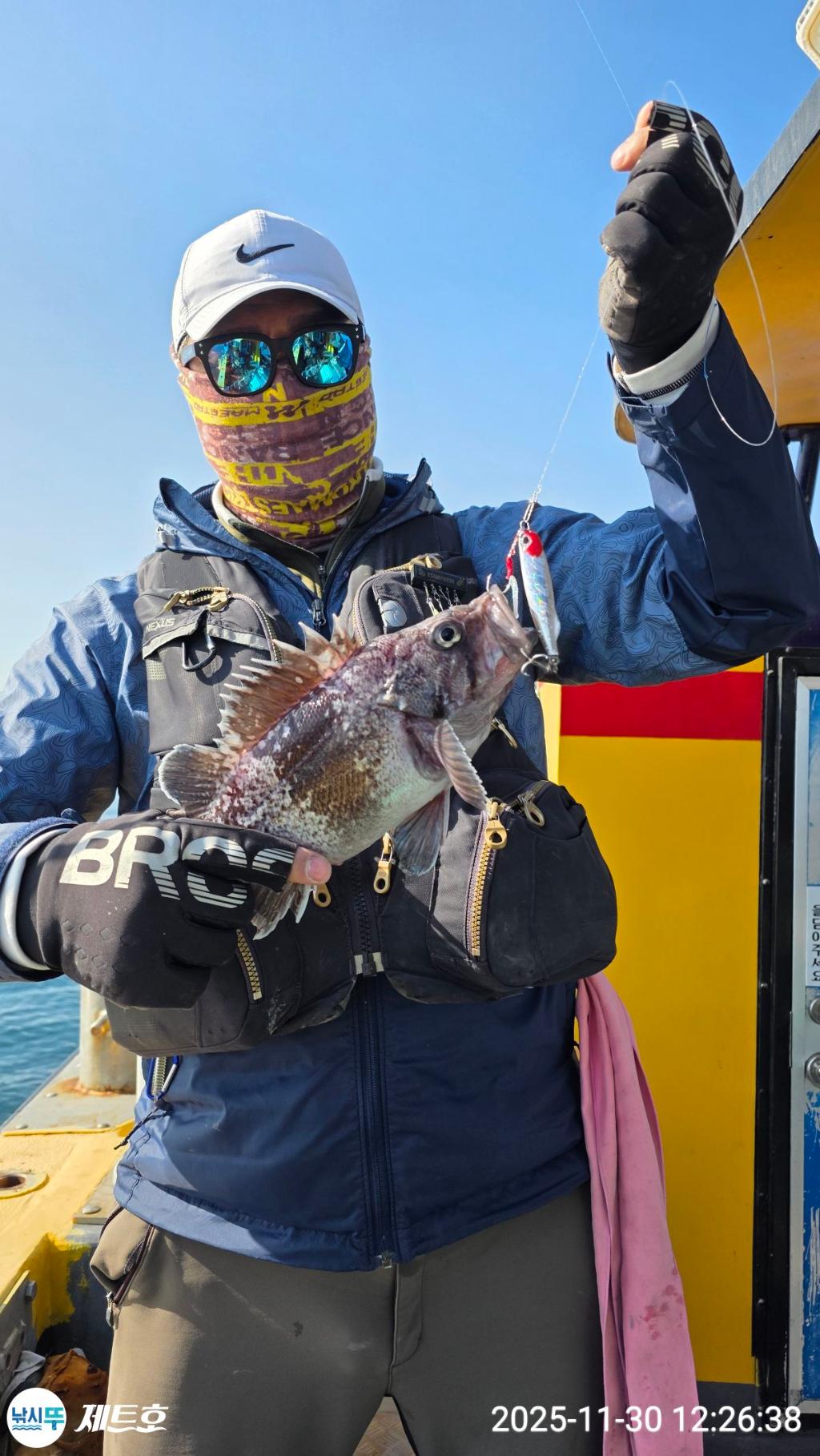 낚시뚜,방어,삼치,영일만항,포항 제트호,낚시뚜31