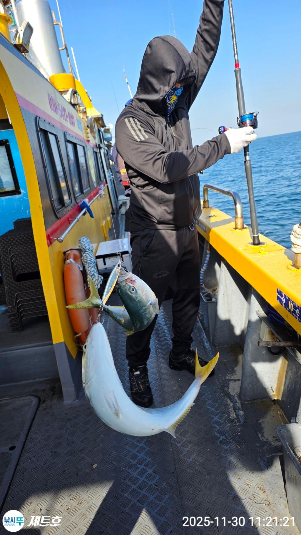 낚시뚜,방어,삼치,영일만항,포항 제트호,낚시뚜27