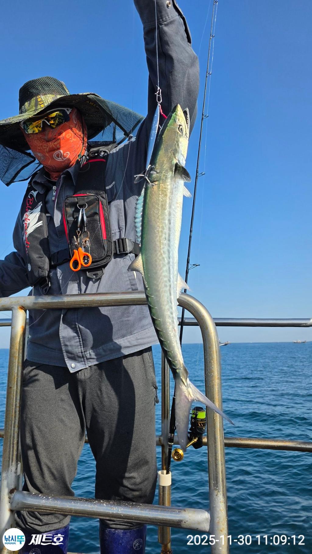 낚시뚜,방어,삼치,영일만항,포항 제트호,낚시뚜26