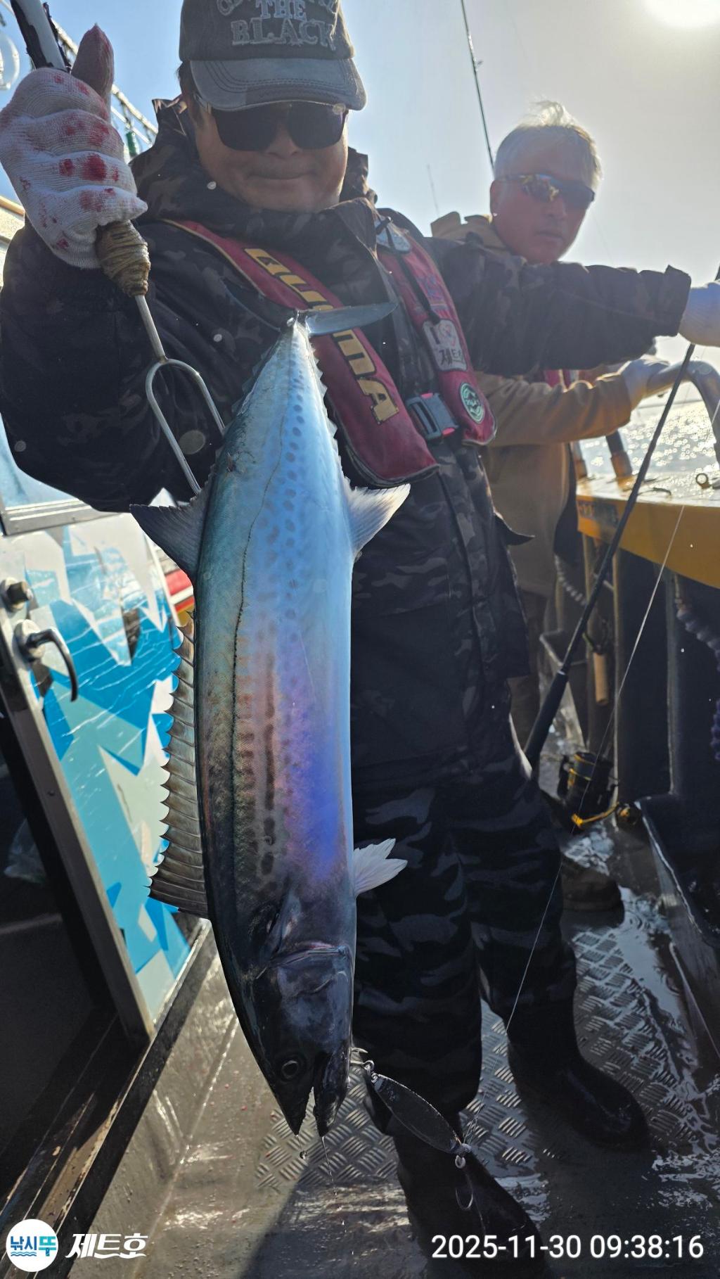 낚시뚜,방어,삼치,영일만항,포항 제트호,낚시뚜17