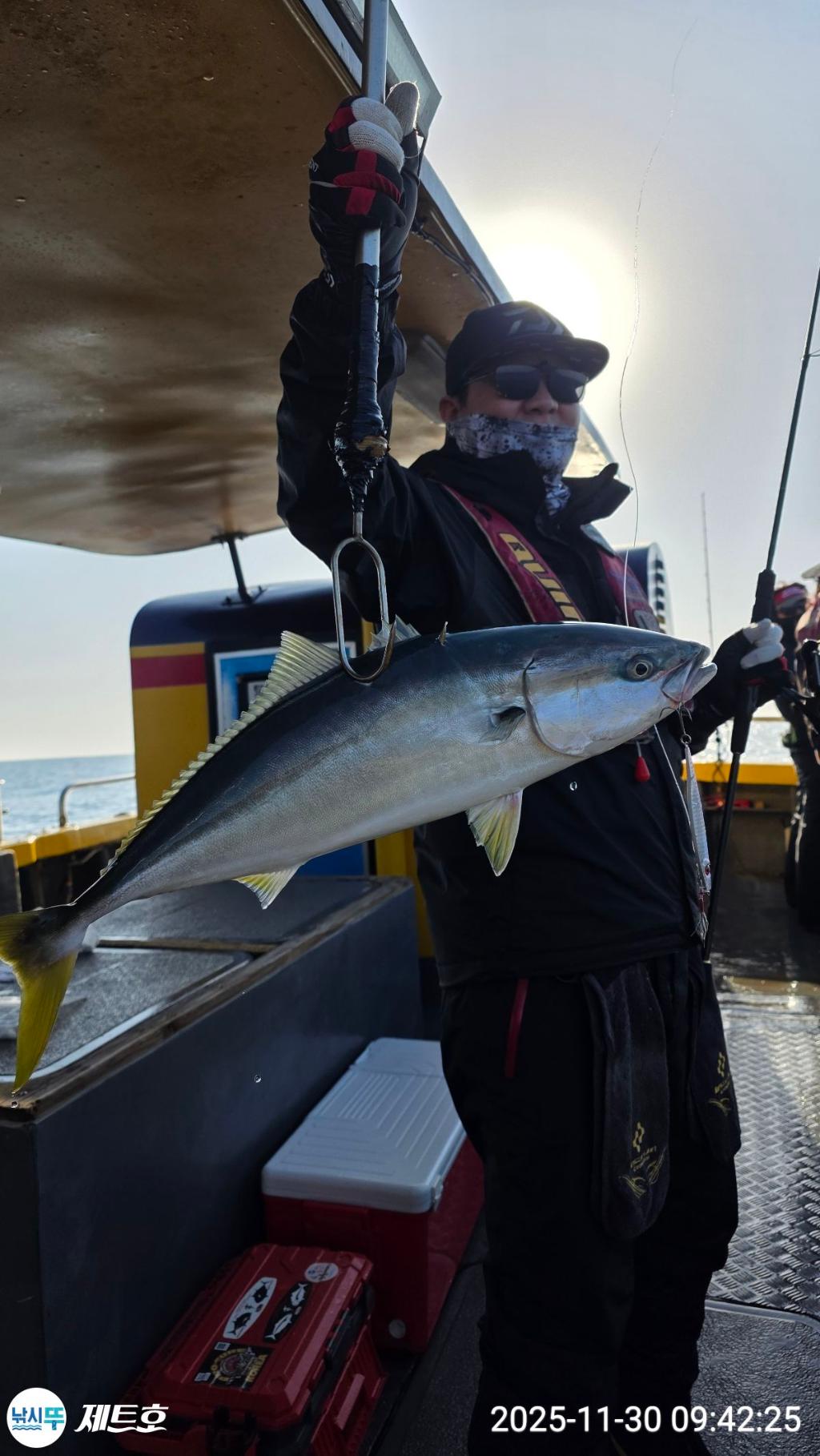 낚시뚜,방어,삼치,영일만항,포항 제트호,낚시뚜0