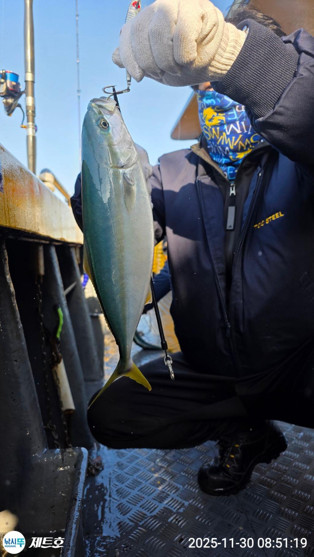 낚시뚜,방어,삼치,영일만항,포항 제트호,낚시뚜11