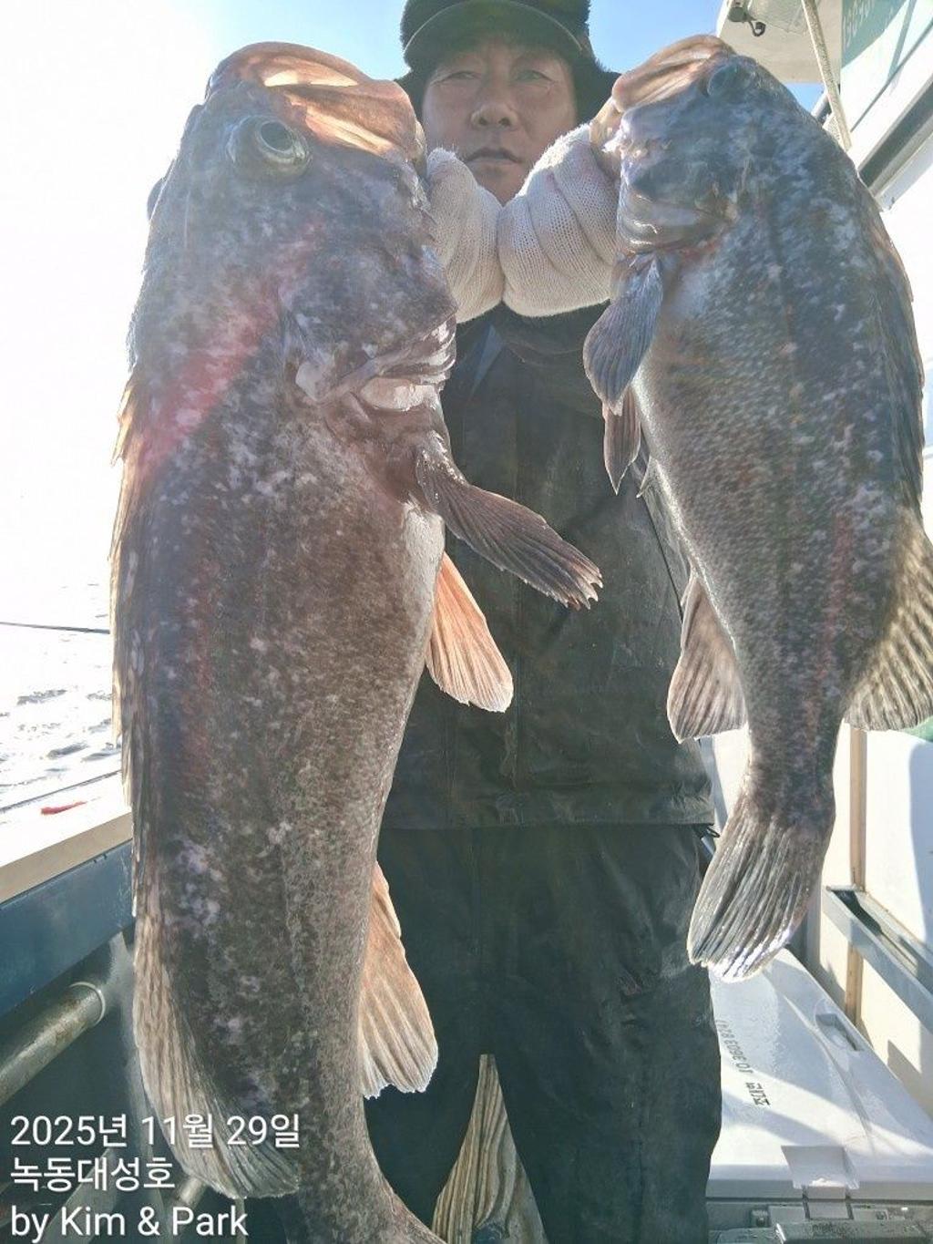 낚시뚜,우럭,열기,녹동항,녹동대성호,낚시뚜33