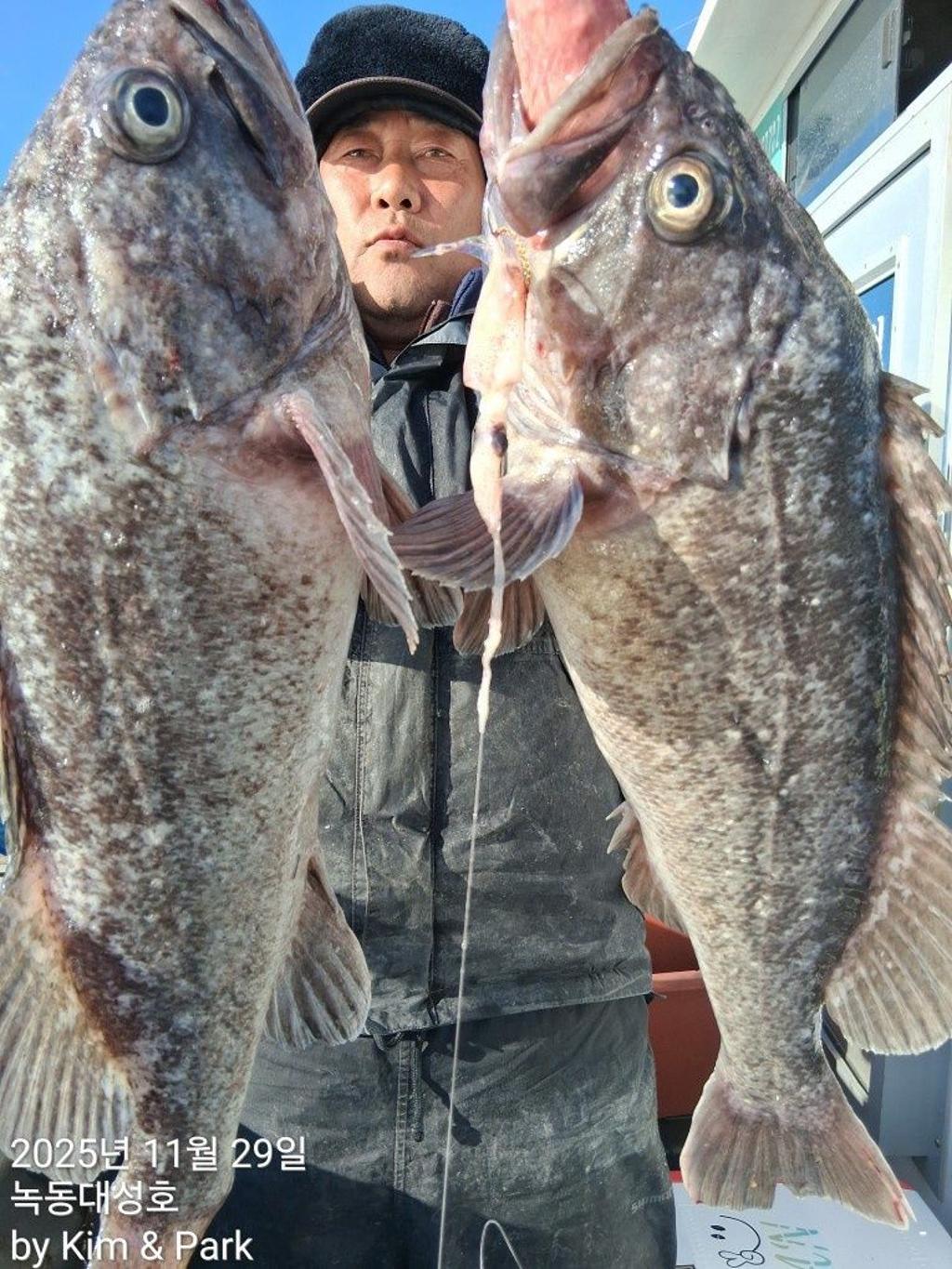 낚시뚜,우럭,열기,녹동항,녹동대성호,낚시뚜27