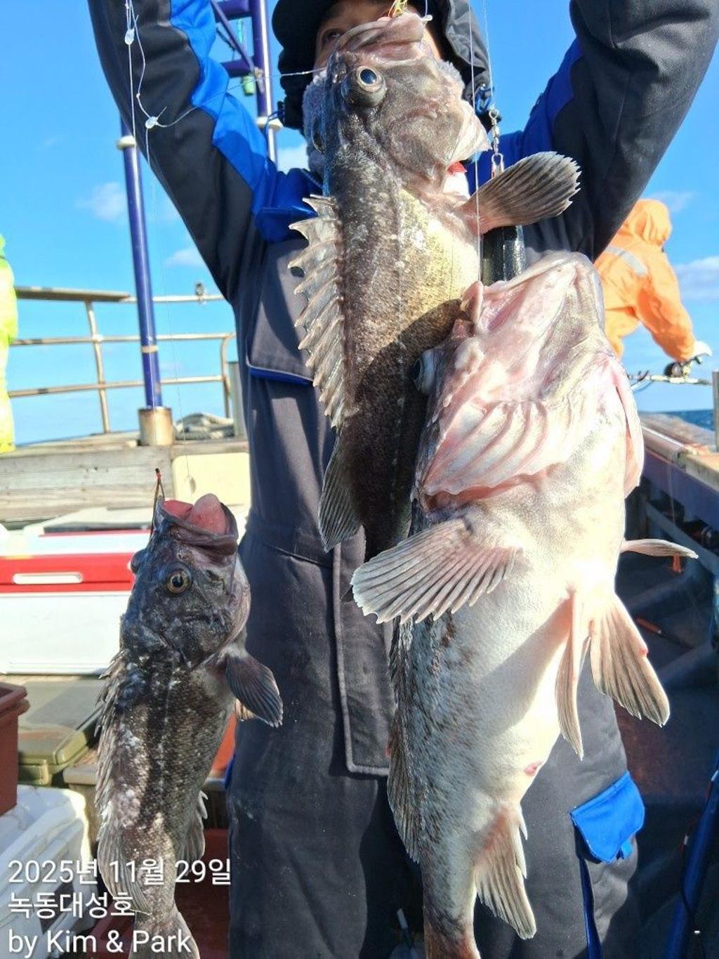 낚시뚜,우럭,열기,녹동항,녹동대성호,낚시뚜25