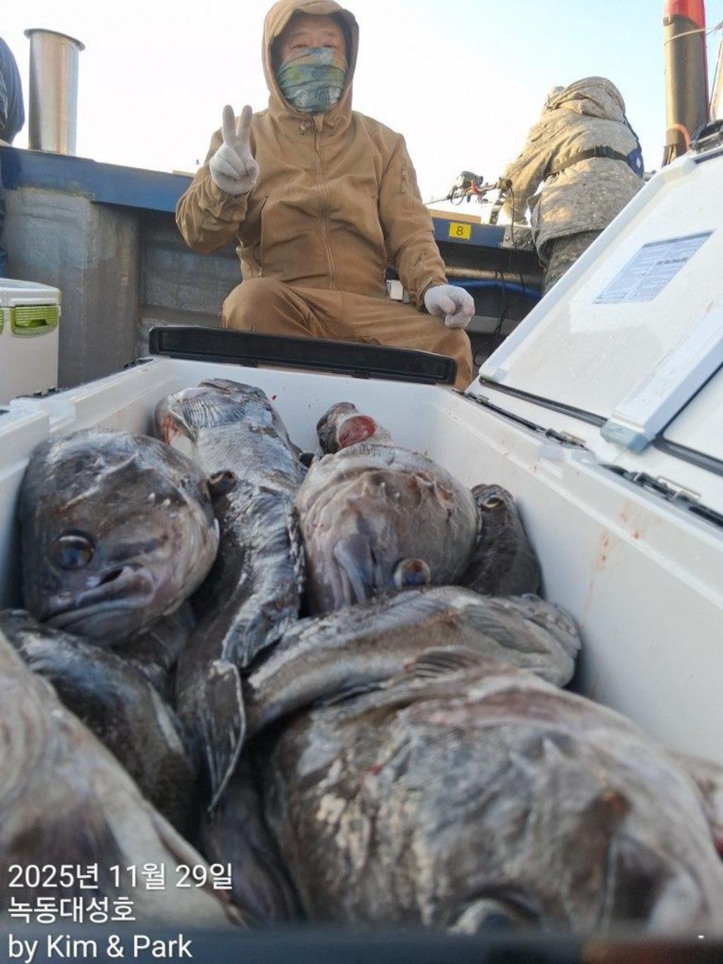 낚시뚜,우럭,열기,녹동항,녹동대성호,낚시뚜15