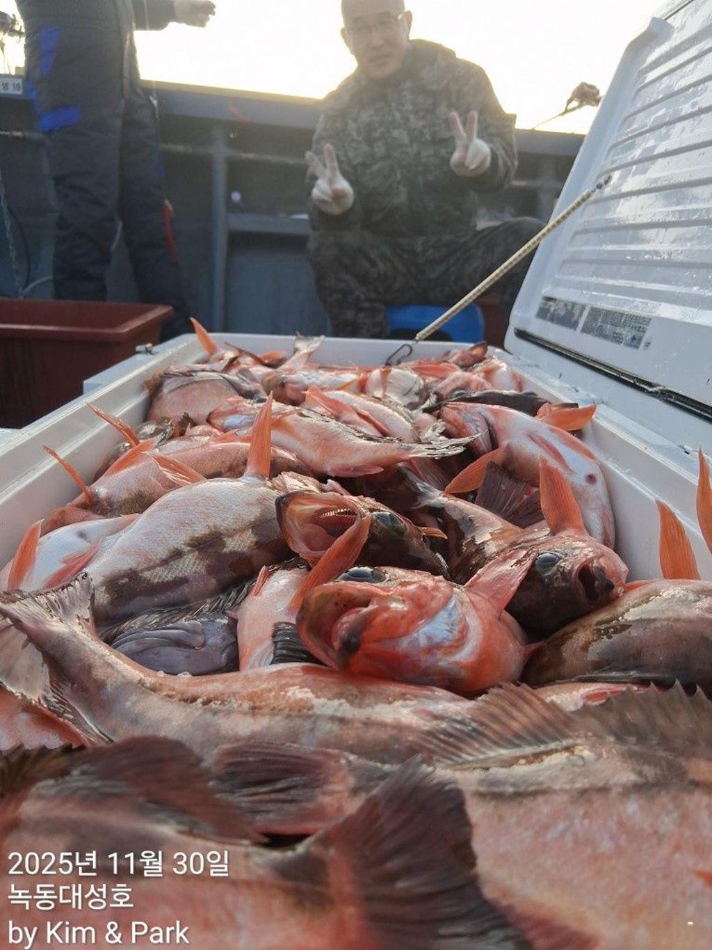 낚시뚜,우럭,열기,녹동항,녹동대성호,낚시뚜12