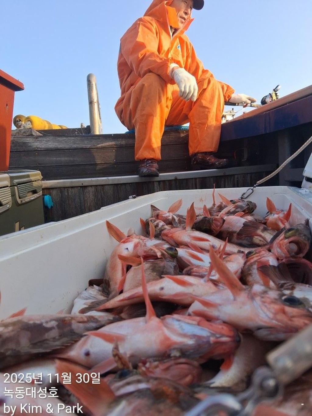 낚시뚜,우럭,열기,녹동항,녹동대성호,낚시뚜9