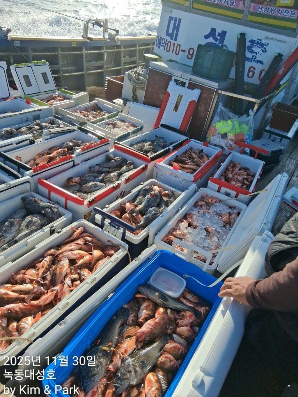 낚시뚜,우럭,열기,녹동항,녹동대성호,낚시뚜1