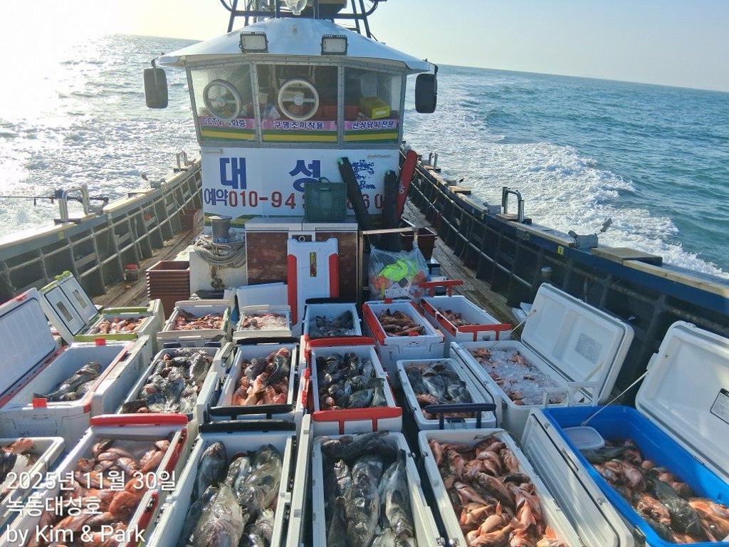 낚시뚜,우럭,열기,녹동항,녹동대성호,낚시뚜0