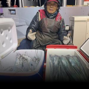 조황, 먼바다왕갈치 계속되는호조황 왕갈치만쿨쿨러조황