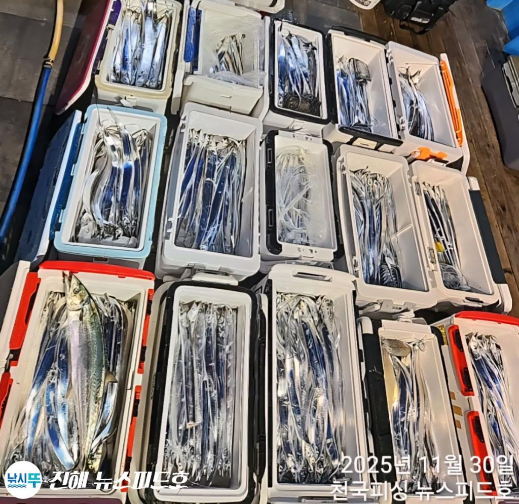 낚시뚜,갈치,진해행암항,진해 뉴스피드호,낚시뚜4