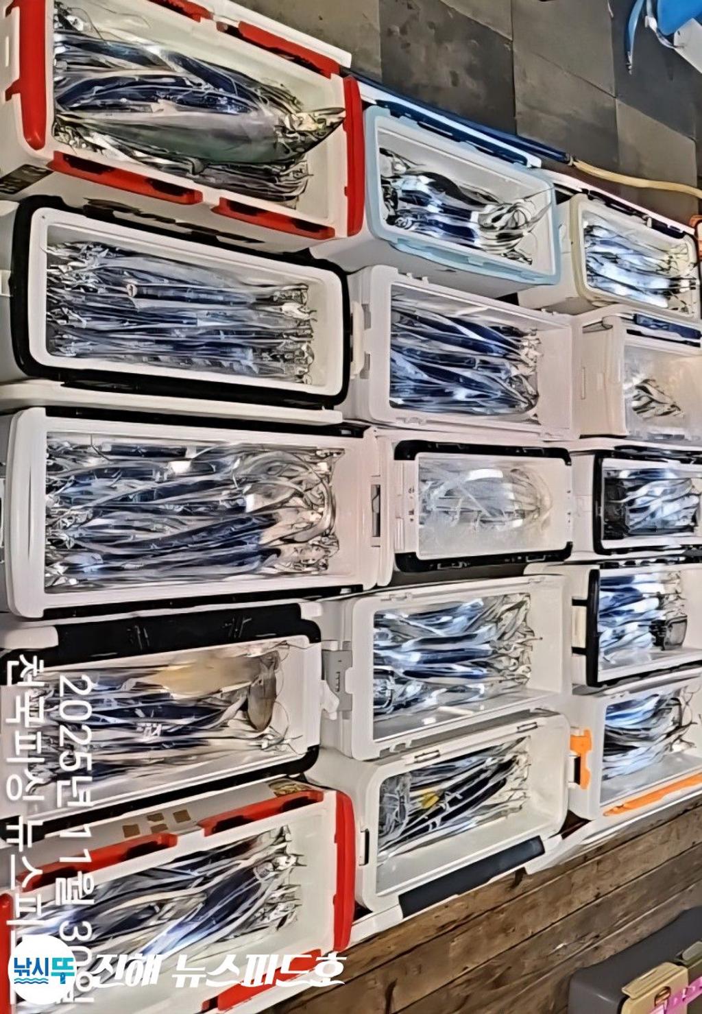 낚시뚜,갈치,진해행암항,진해 뉴스피드호,낚시뚜1