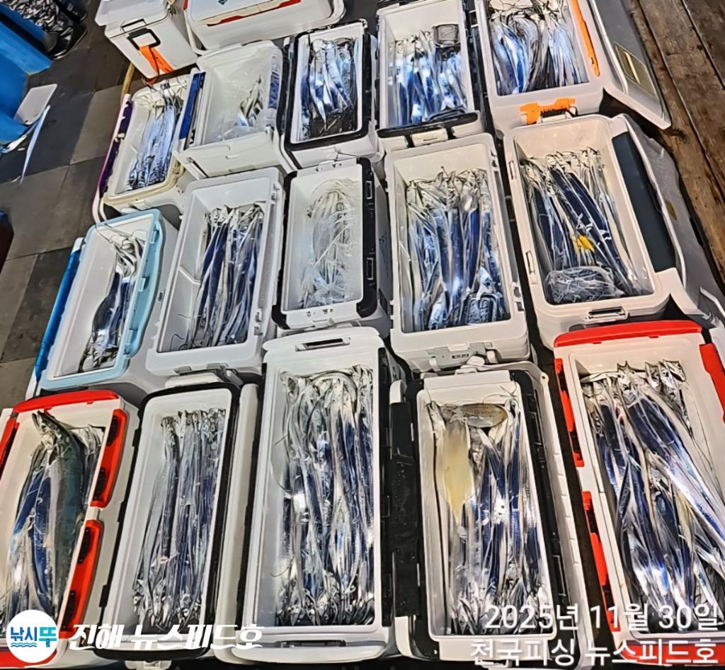 낚시뚜,갈치,진해행암항,진해 뉴스피드호,낚시뚜4