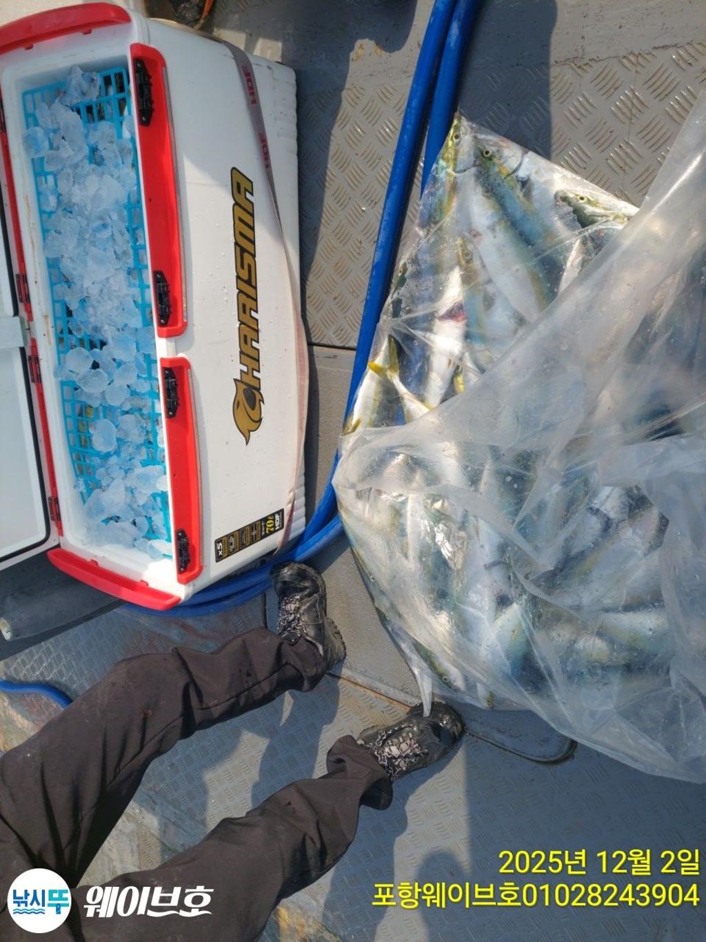 낚시뚜,방어,삼치,구룡포항,뉴웨이브호,낚시뚜11