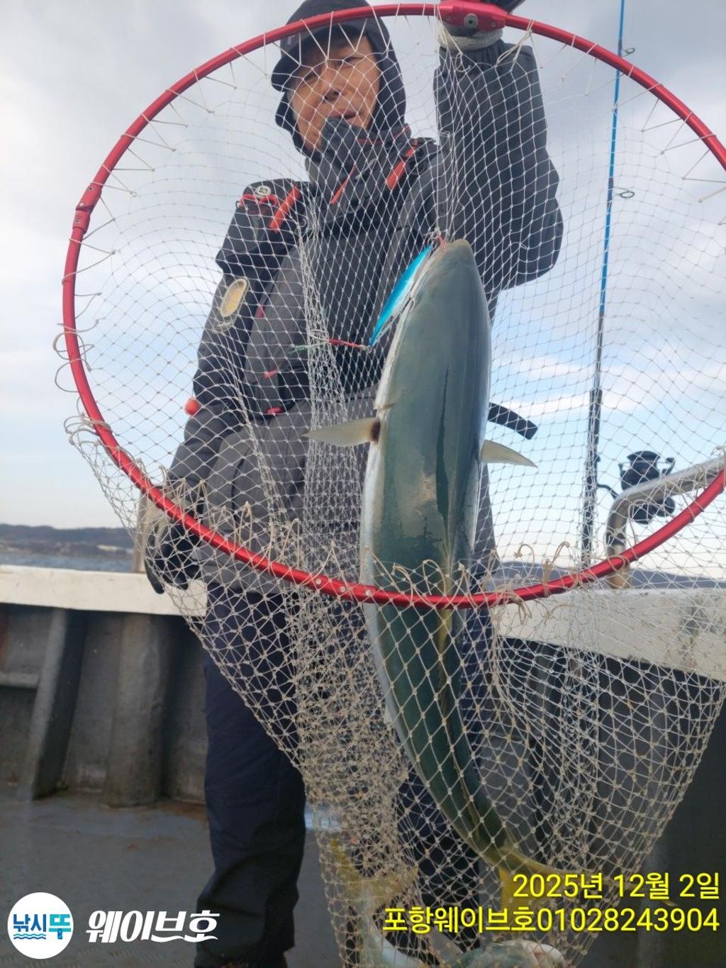 낚시뚜,방어,삼치,구룡포항,뉴웨이브호,낚시뚜4