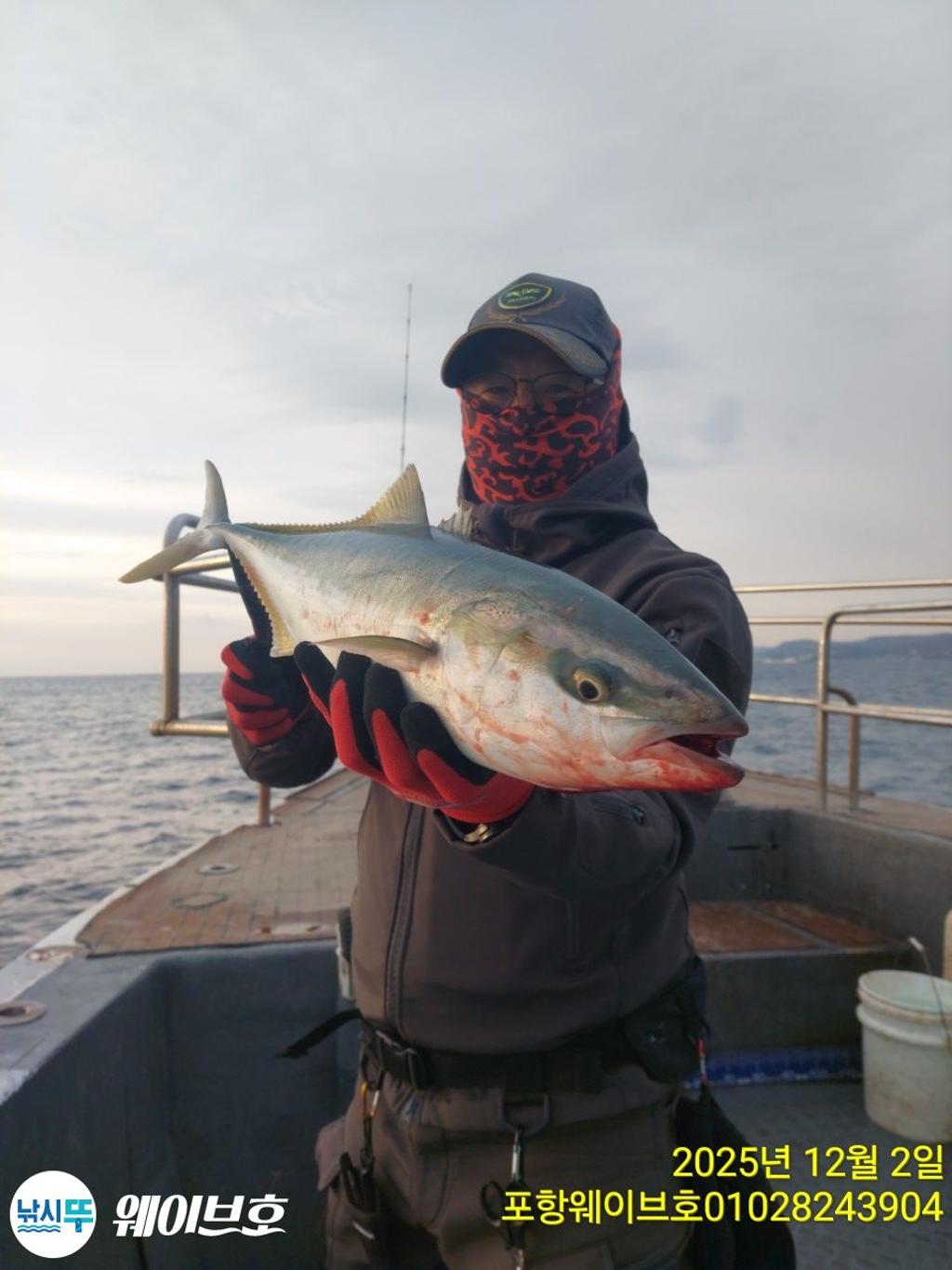 낚시뚜,방어,삼치,구룡포항,뉴웨이브호,낚시뚜3