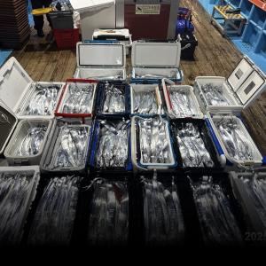 조황, [준내만텐빈]대치들  전원쿨러가득채우고~토요일예약가능합니다