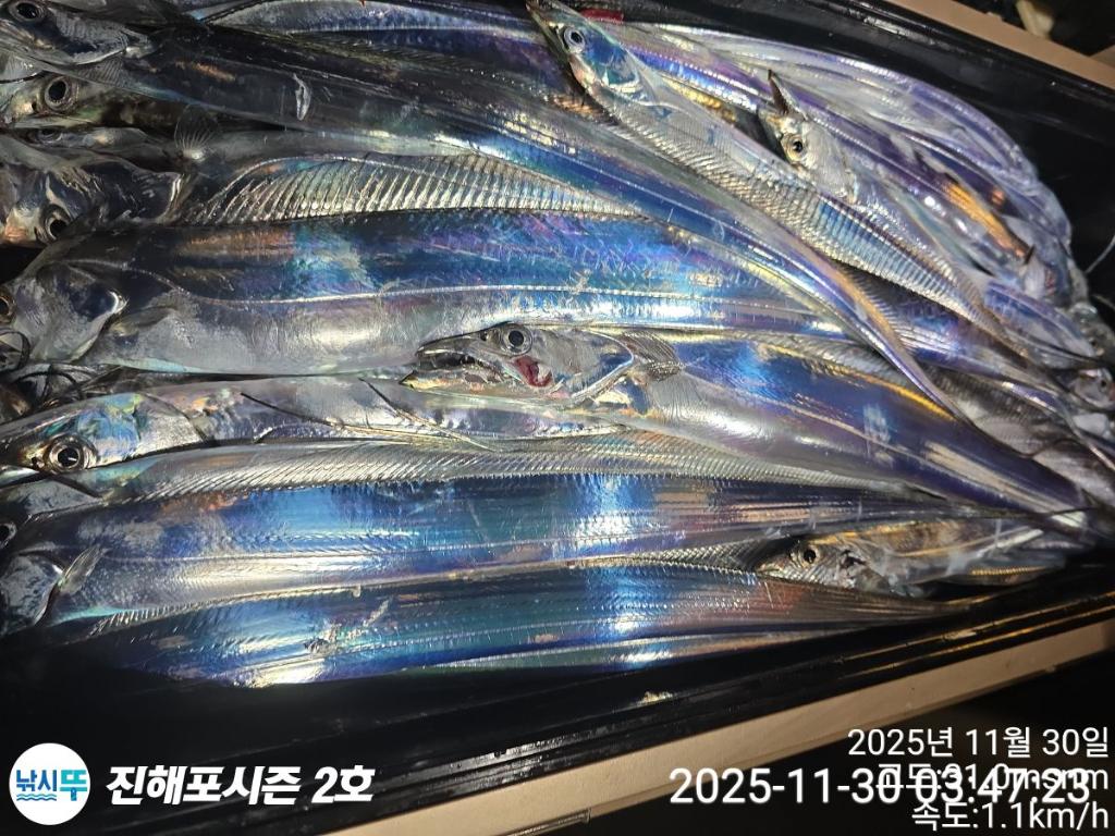 낚시뚜,갈치,진해행암항,진해포시즌 2호,낚시뚜7