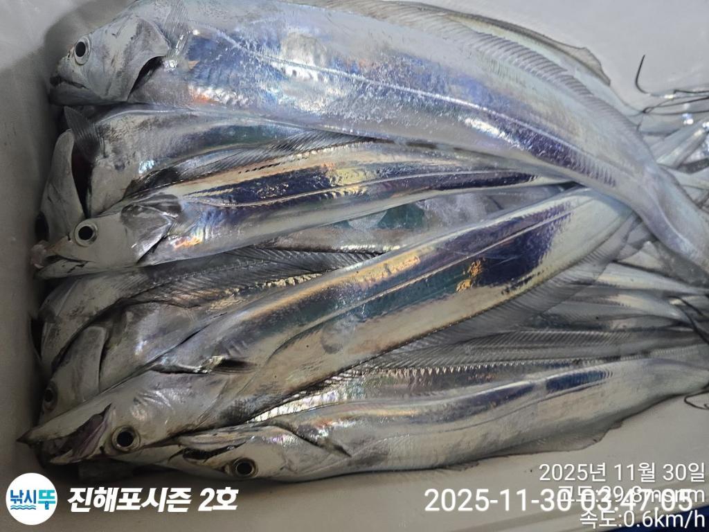 낚시뚜,갈치,진해행암항,진해포시즌 2호,낚시뚜5