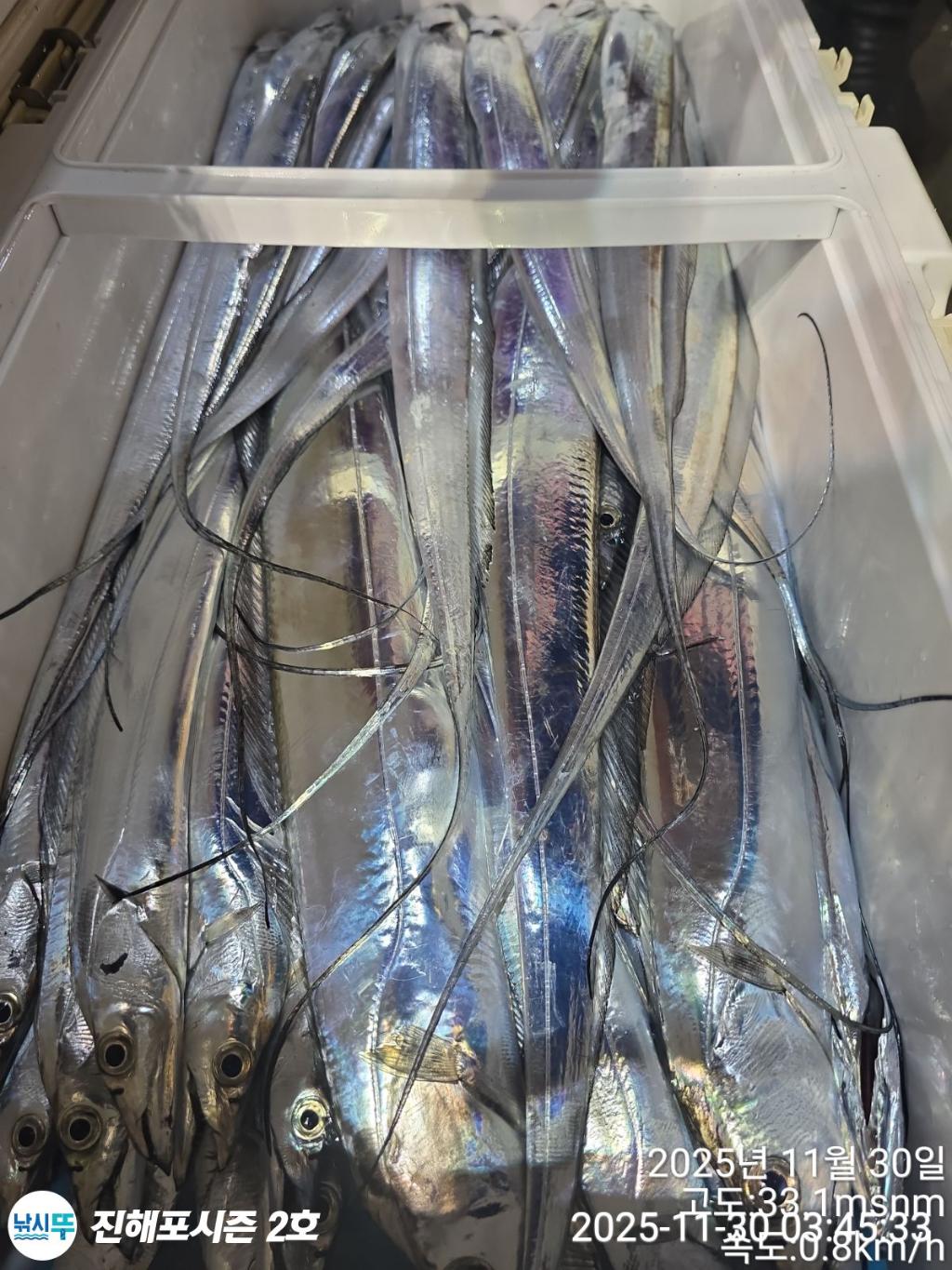 낚시뚜,갈치,진해행암항,진해포시즌 2호,낚시뚜4