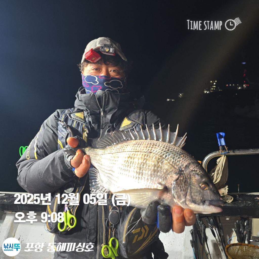 낚시뚜,감성돔,포항(운하관),포항 동해피싱호,낚시뚜0