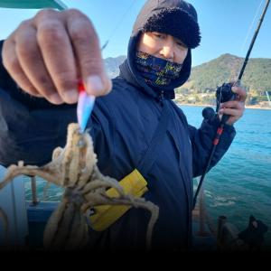 조황, 수요일 부터 쭈갑이출조 