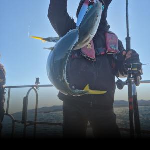 조황, 6일 오후 실시간 대 폭팔중~일요일 운동장 입니다