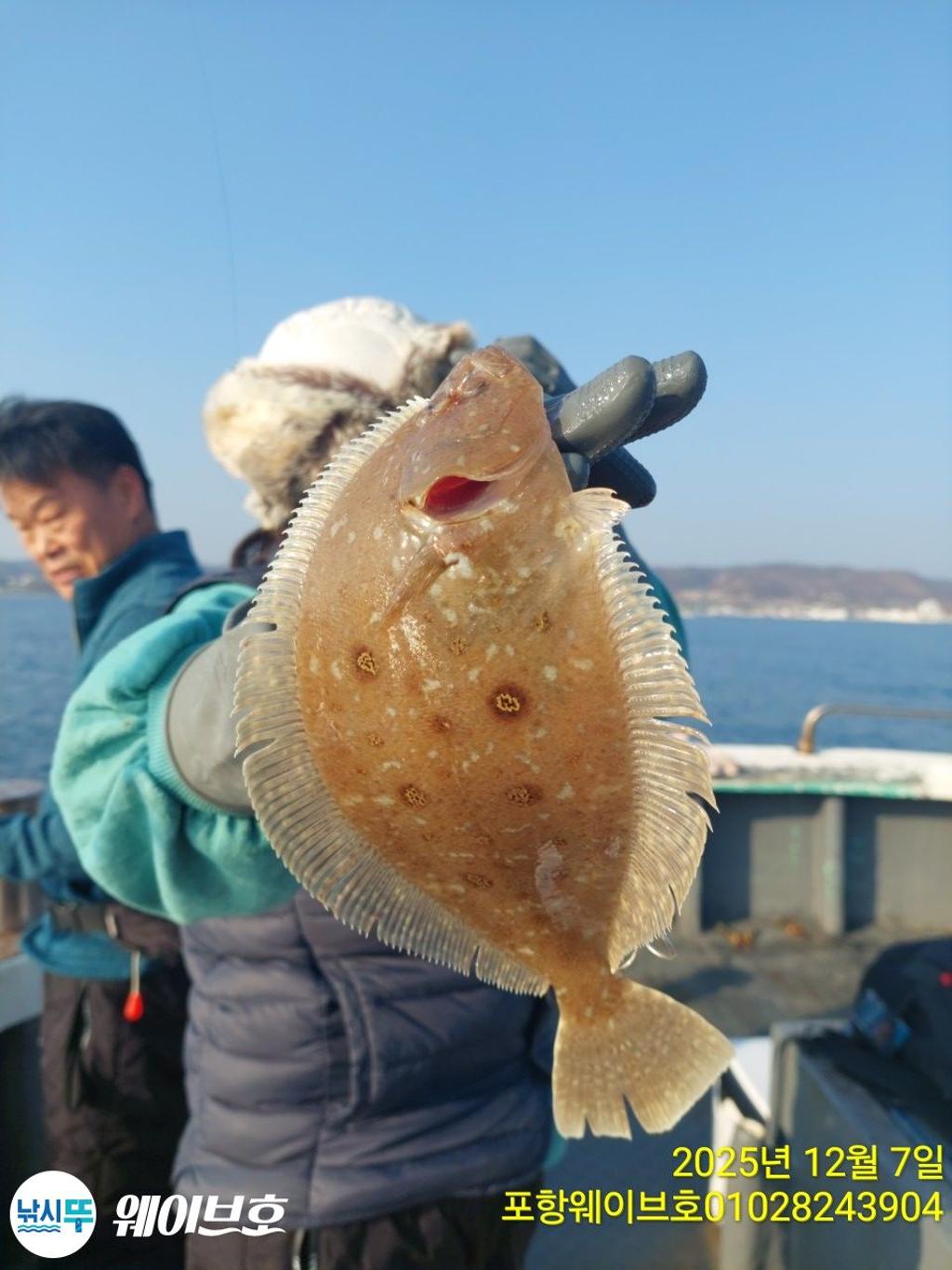 낚시뚜,방어,삼치,구룡포항,뉴웨이브호,낚시뚜0