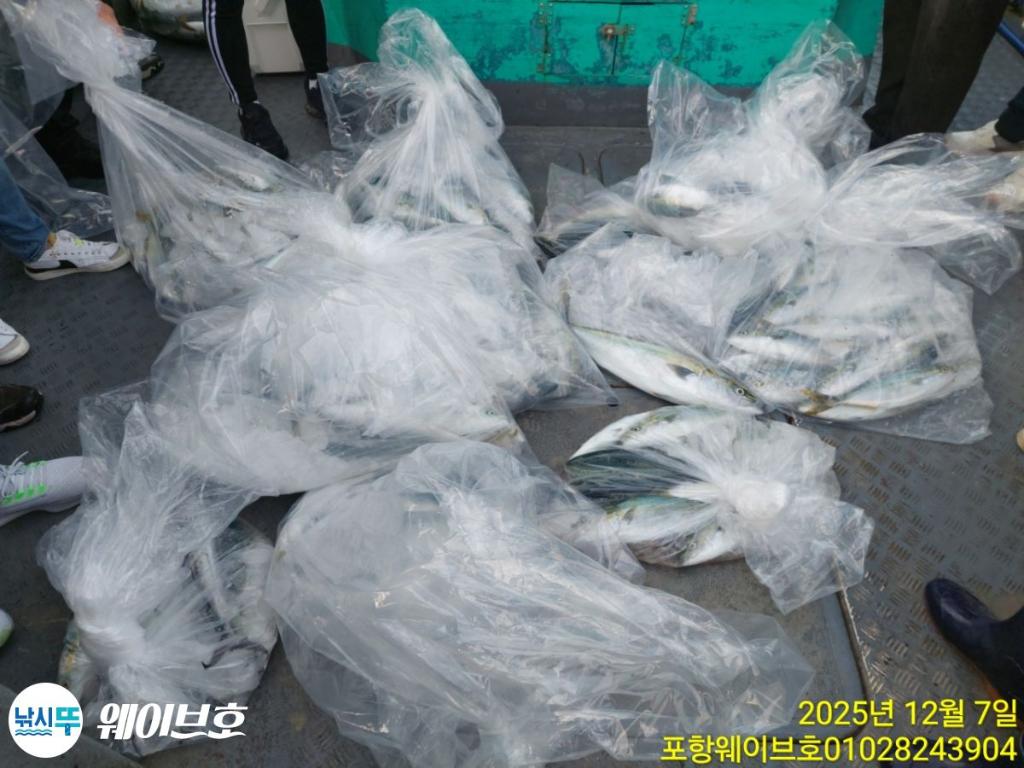 낚시뚜,방어,삼치,구룡포항,뉴웨이브호,낚시뚜11