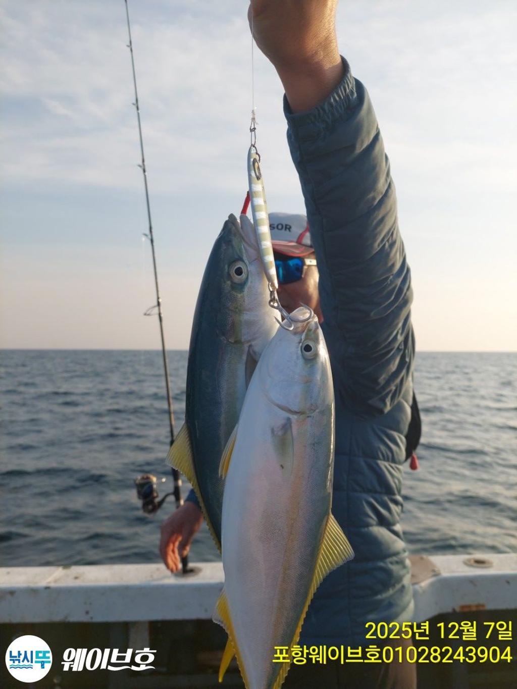 낚시뚜,방어,삼치,구룡포항,뉴웨이브호,낚시뚜8
