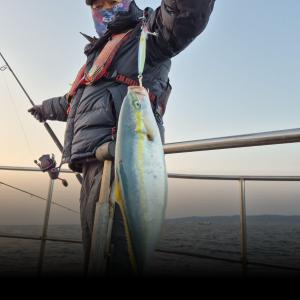 조황, 7일 오전 대 폭팔