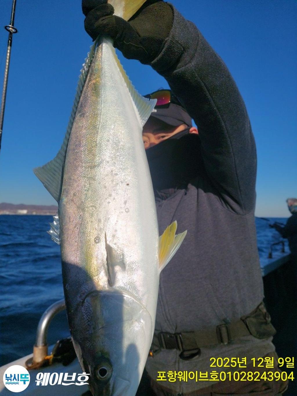 낚시뚜,방어,삼치,구룡포항,뉴웨이브호,낚시뚜0
