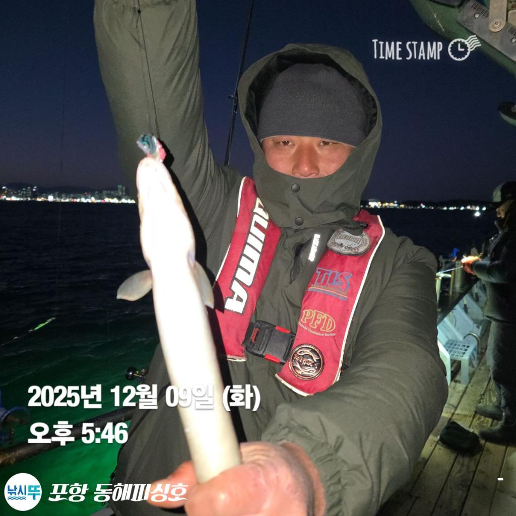 낚시뚜,감성돔,쭈꾸미,포항(운하관),포항 동해피싱호,낚시뚜10