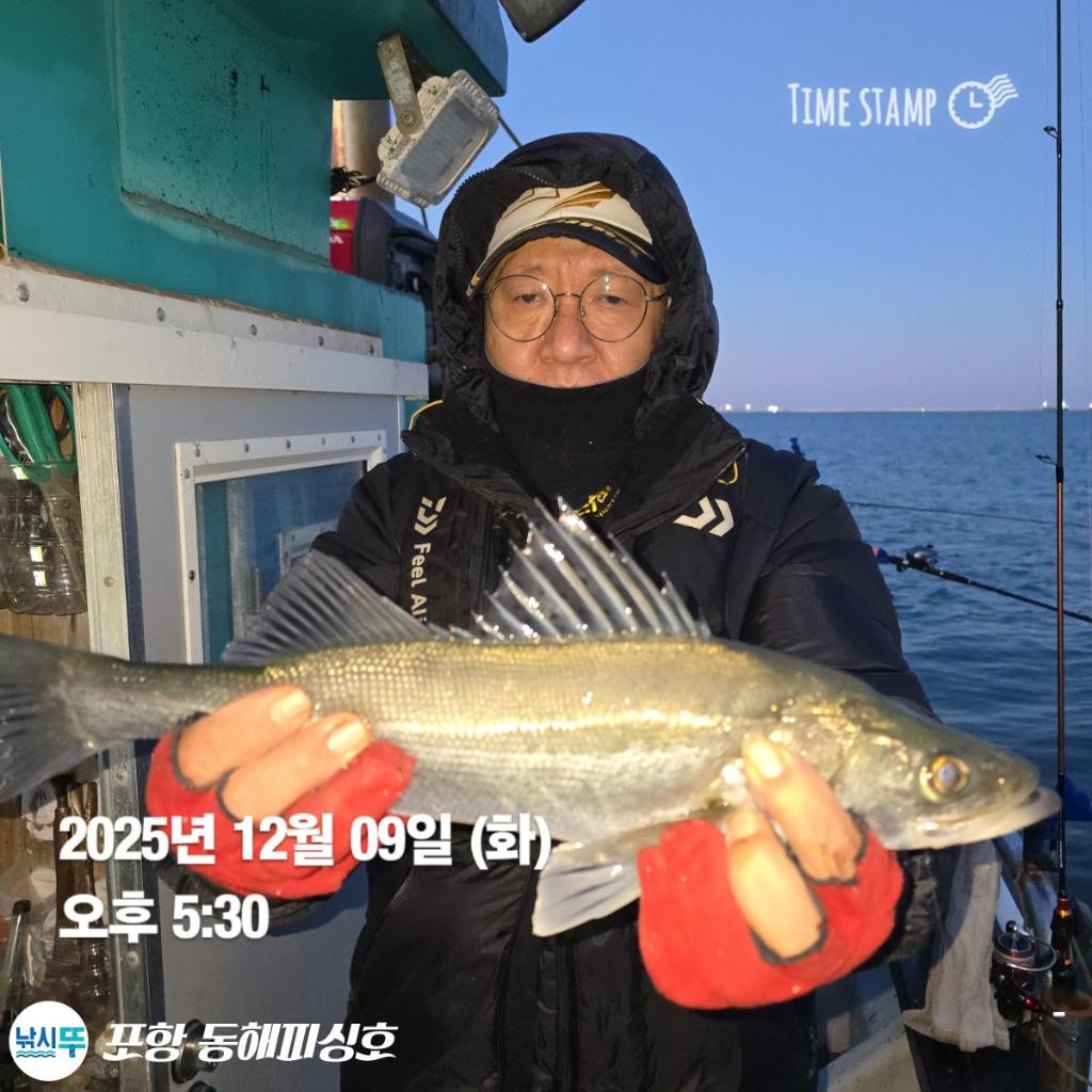 낚시뚜,감성돔,쭈꾸미,포항(운하관),포항 동해피싱호,낚시뚜9