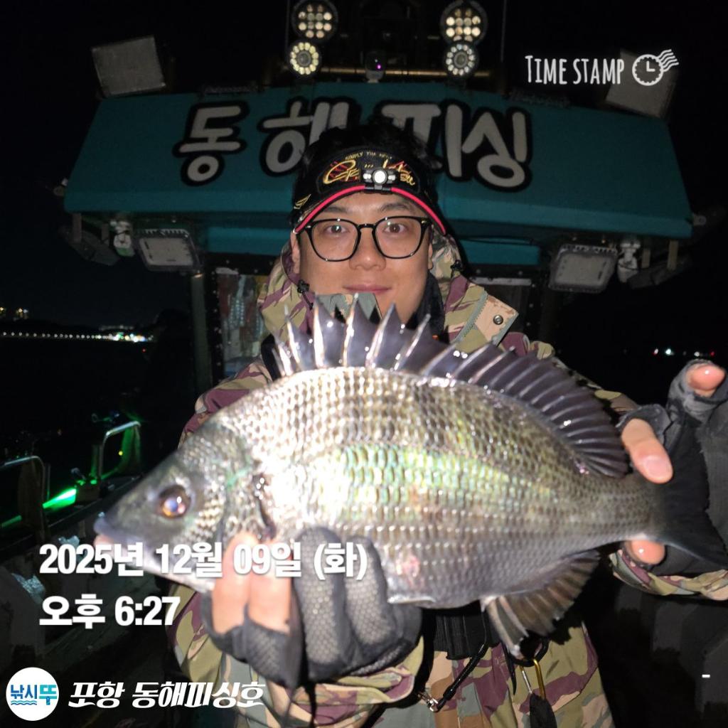 낚시뚜,감성돔,쭈꾸미,포항(운하관),포항 동해피싱호,낚시뚜8