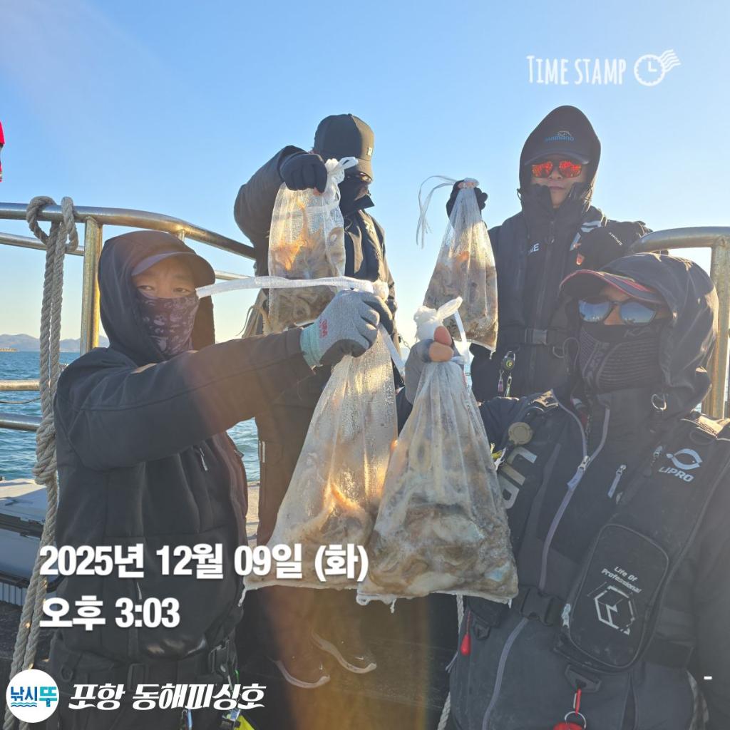 낚시뚜,감성돔,쭈꾸미,포항(운하관),포항 동해피싱호,낚시뚜7