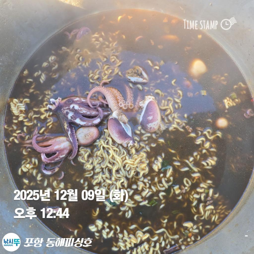 낚시뚜,감성돔,쭈꾸미,포항(운하관),포항 동해피싱호,낚시뚜4