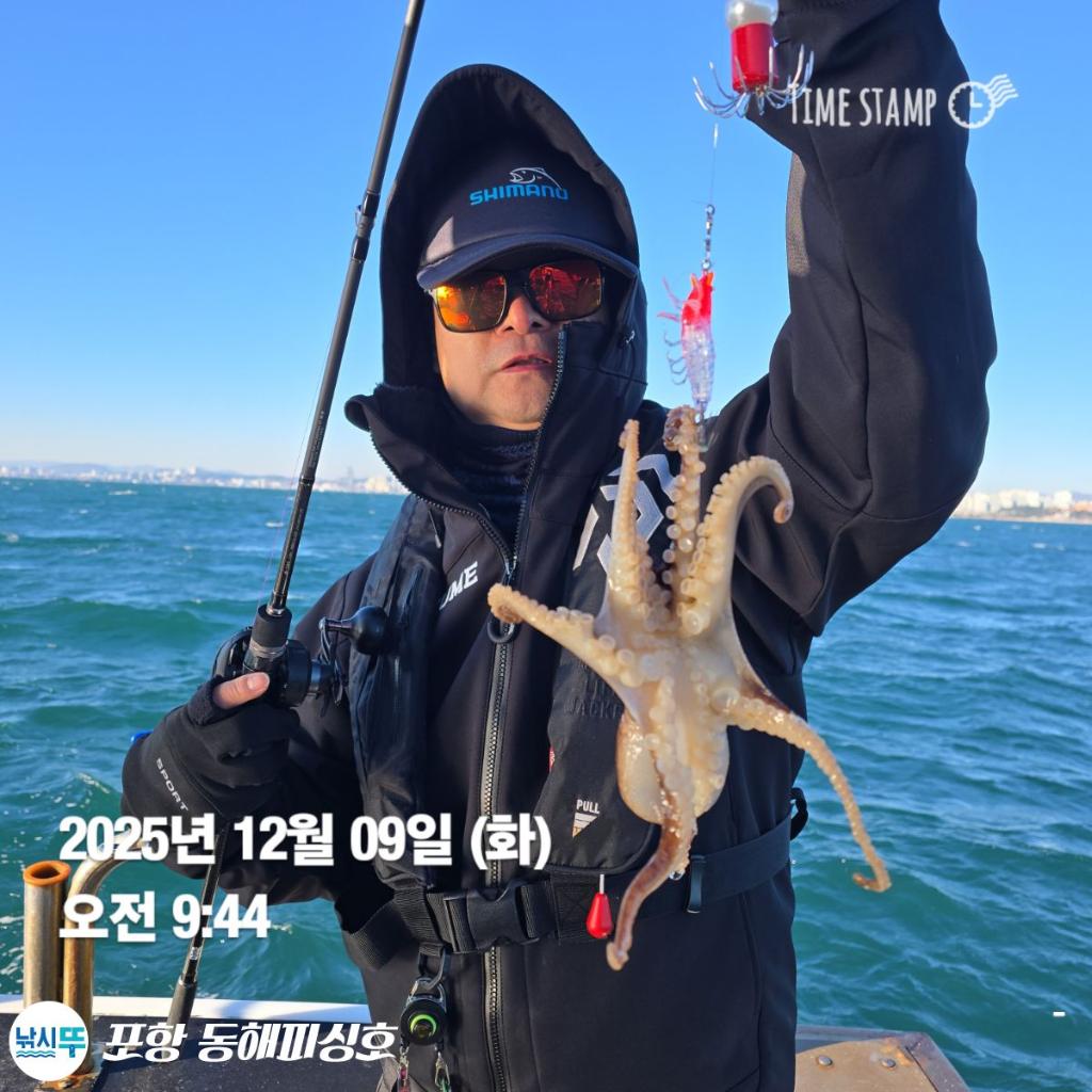 낚시뚜,감성돔,쭈꾸미,포항(운하관),포항 동해피싱호,낚시뚜3