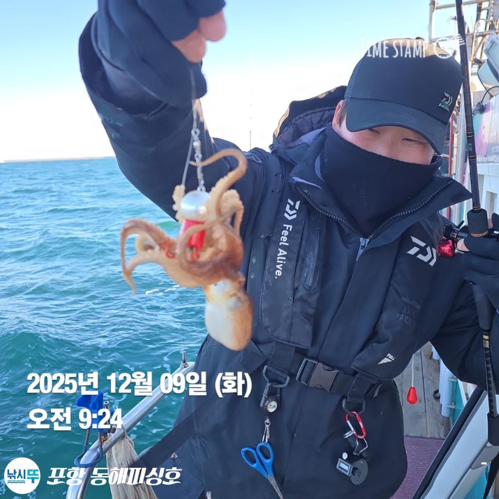 낚시뚜,감성돔,쭈꾸미,포항(운하관),포항 동해피싱호,낚시뚜2