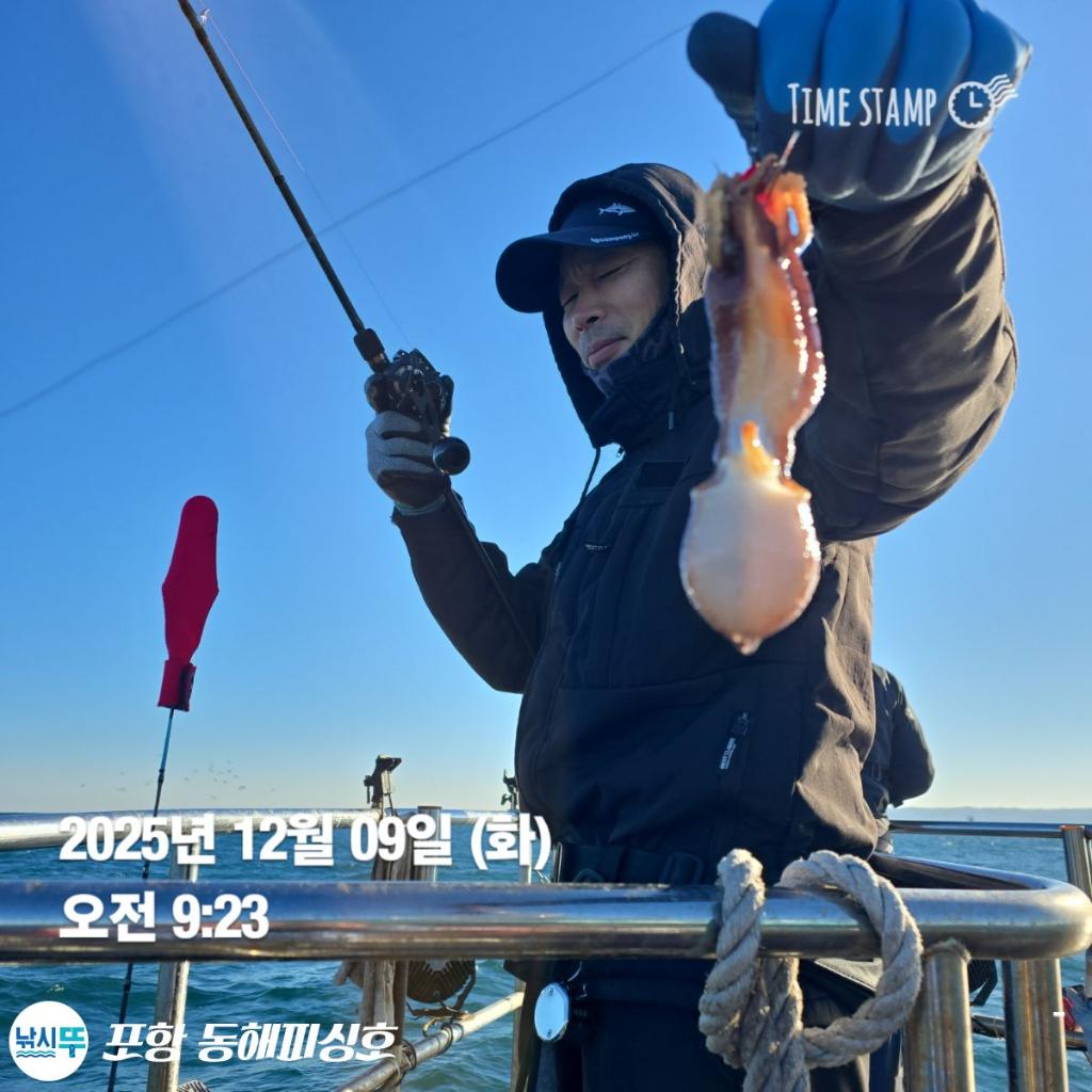 낚시뚜,감성돔,쭈꾸미,포항(운하관),포항 동해피싱호,낚시뚜1