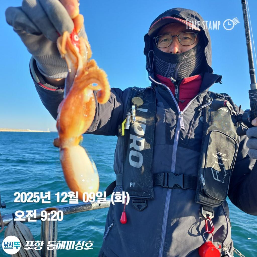 낚시뚜,감성돔,쭈꾸미,포항(운하관),포항 동해피싱호,낚시뚜0