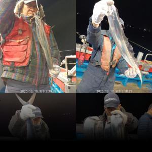 조황, [통영만선피싱] 갈치다녀왔습니다~~ 갈치 시즌 막바지!! 기상악화로 월요일부터 정상출항!! 자리여유 예약가능~ 예약문의주세요^0^*