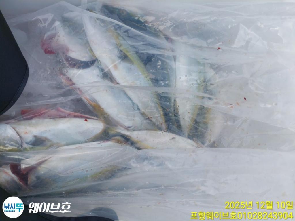 낚시뚜,방어,삼치,구룡포항,뉴웨이브호,낚시뚜9