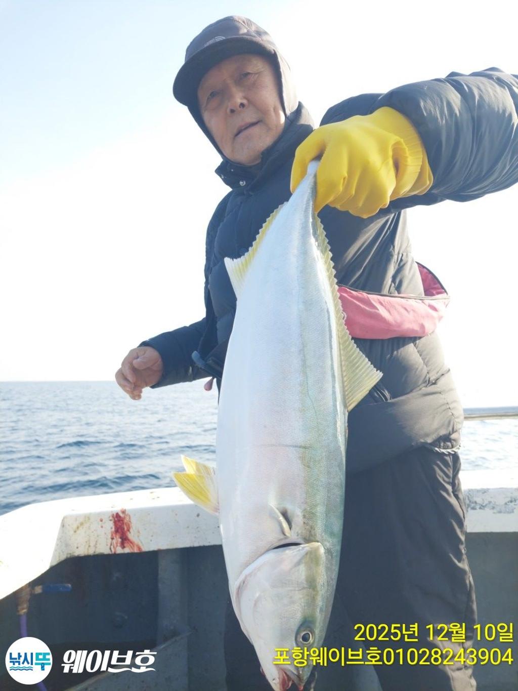 낚시뚜,방어,삼치,구룡포항,뉴웨이브호,낚시뚜0